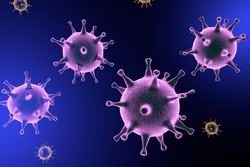 ۹ وسیله مهم که احتمال انتقال ویروس کرونا دارند