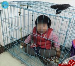 انداختن کودک ۲۰ ماهه در قفس سگ!