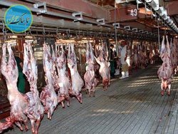 گوشت‌های قربانی حجاج ایرانی چه می شود؟