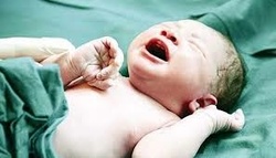 تولد «نوزاد عجول» ایرانی در آسمان!