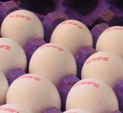 تخم مرغ بالاخره ارزان می شود؟