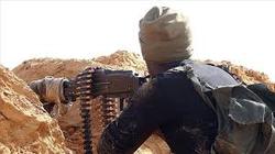 تروریست‌های داعشی در عراق   اینفوگرافیک