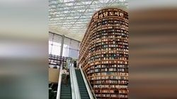 کتابخانه‌ای بزرگ با معماری خاص در کره جنوبی + فیلم