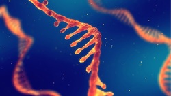 آیا ژن‌‌های نادر باعث بروز عوارض شدید کرونا می‌شوند؟