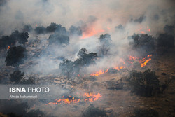 بازداشت عاملان آتش‌سوزی جنگل‌های  خائیز 