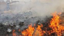 ادامه آتش سوزی گسترده در جنگل‌های بویراحمد