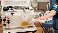 شرایط لازم برای اهدای پلاسمای خون چیست؟