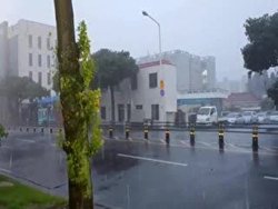 طوفان در کره جنوبی با سرعت ۱۹۰ کیلومتر در ساعت + فیلم