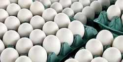 افزایش ۴۸ درصدی قیمت تخم مرغ