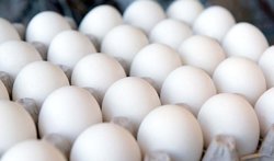 تخم مرغ ارزان از کی به بازار می‌آید؟ + فیلم
