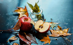 چند دستور ساده برای تهیه مربا و شربت سیب پاییزی