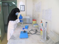 ماهیت دقیق ویروس کرونا در ایران شناسایی شد