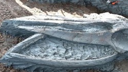 کشف فسیل پنج هزار ساله نهنگ در سواحل تایلند + فیلم