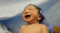 اولین تنفس کودک باعث ایجاد تغییراتی در مغز می‌شود