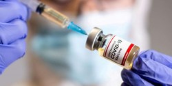 واکسن کرونای روسیه به سالمندان تزریق شد