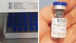 ویژگی های داوطلبان دریافت واکسن کرونای ایرانی