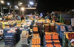 قیمت میوه‌های نوبرانه در میادین تره‌بار