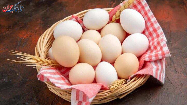 هنگام مصرف تخم مرغ این نکات را رعایت کنید