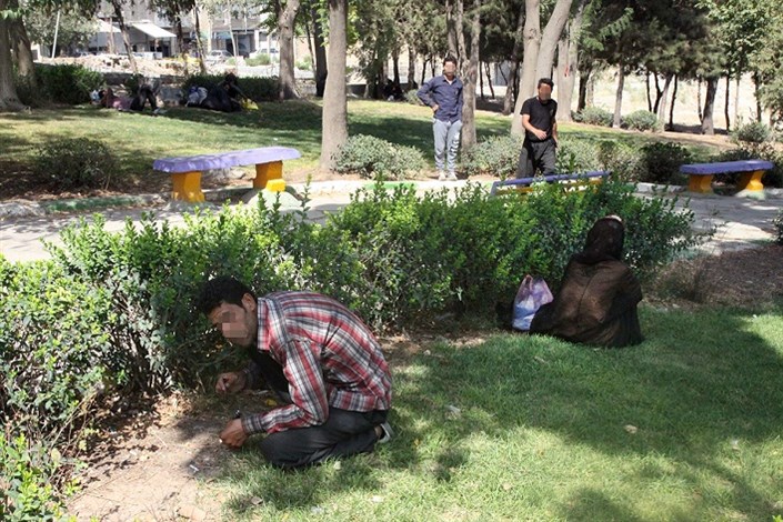 جولان معتادان در پارک