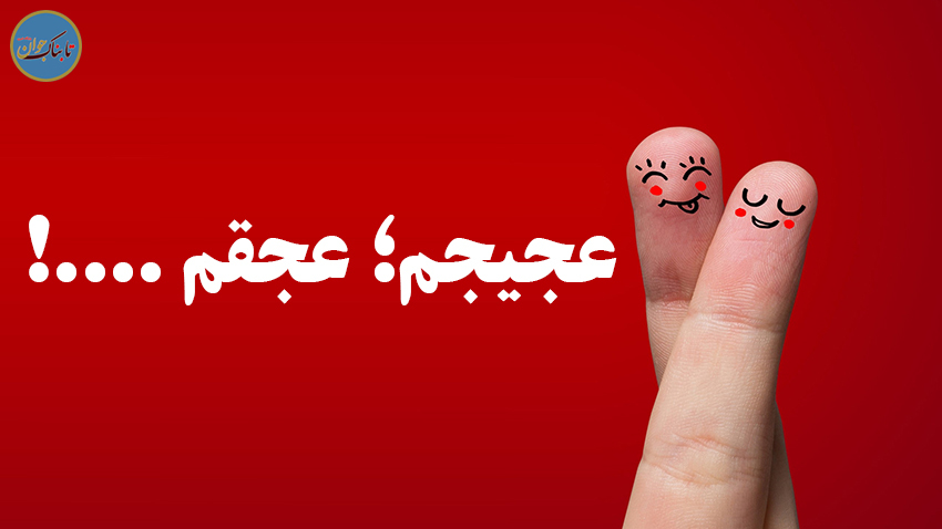 «شاندویچ منو نشف می‌کنی؟!»