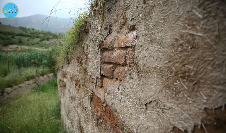مار سرخ در کجا لانه کرده است؟ + تصاویر مار سرخ در کجا لانه کرده است؟ + تصاویر