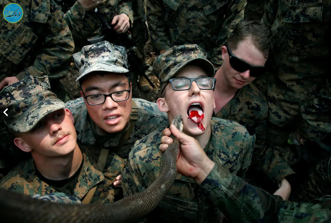 شیوه‌های تهوع‌آور آموزش سربازان آمریکایی: از نوشیدن خون مار کبرا تا خوردن عقرب و کرم خاکی! + تصاویر