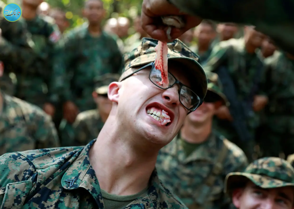 شیوه‌های تهوع‌آور آموزش سربازان آمریکایی: از نوشیدن خون مار کبرا تا خوردن عقرب و کرم خاکی! + تصاویر