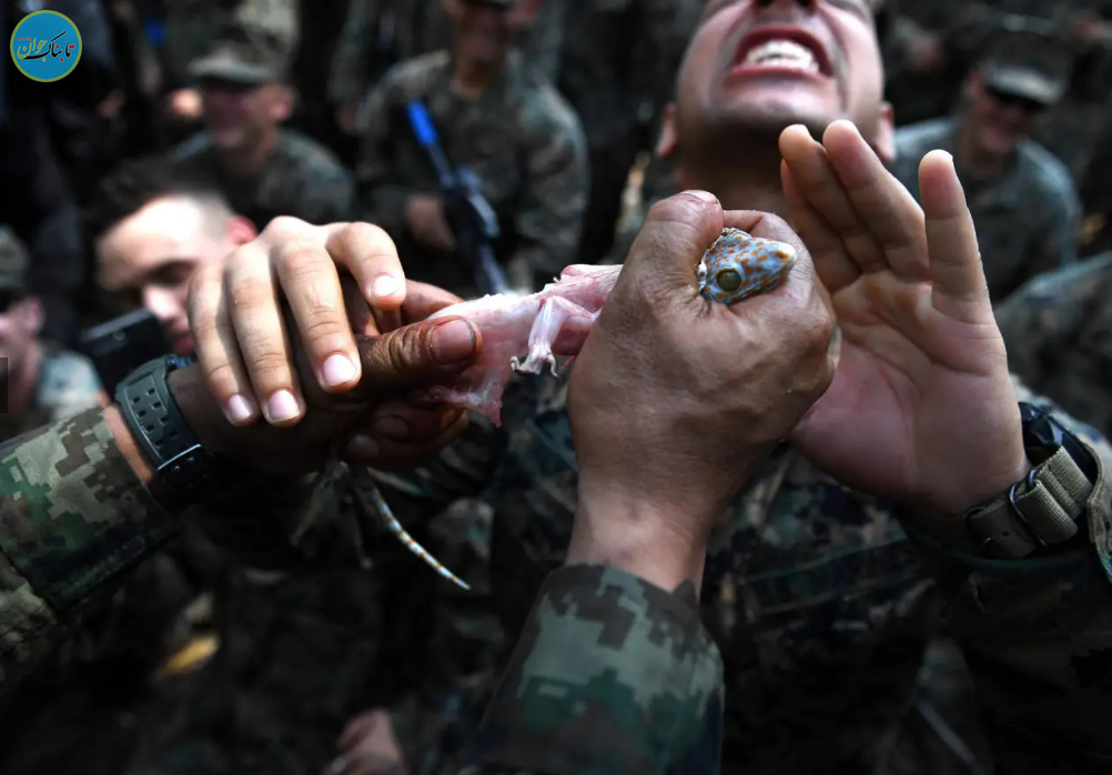 شیوه‌های تهوع‌آور آموزش سربازان آمریکایی: از نوشیدن خون مار کبرا تا خوردن عقرب و کرم خاکی! + تصاویر