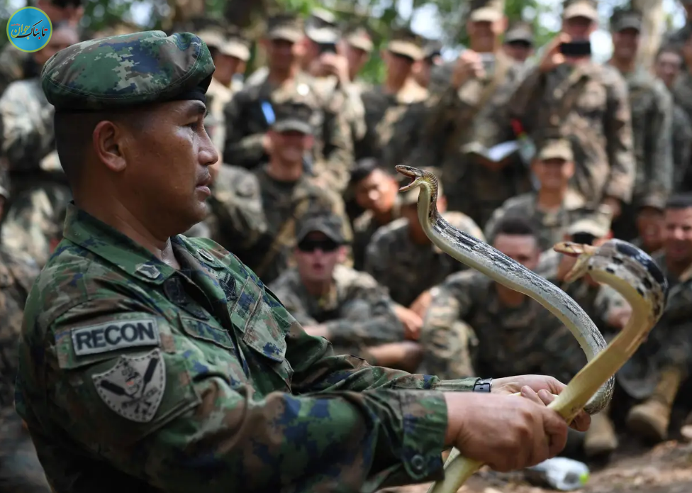 شیوه‌های تهوع‌آور آموزش سربازان آمریکایی: از نوشیدن خون مار کبرا تا خوردن عقرب و کرم خاکی! + تصاویر