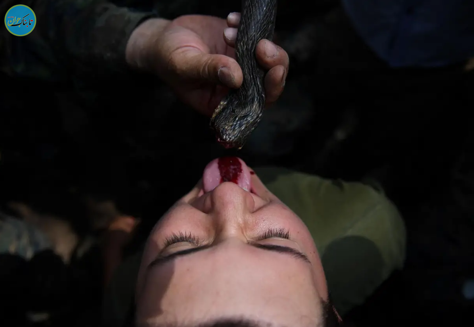 شیوه‌های تهوع‌آور آموزش سربازان آمریکایی: از نوشیدن خون مار کبرا تا خوردن عقرب و کرم خاکی! + تصاویر