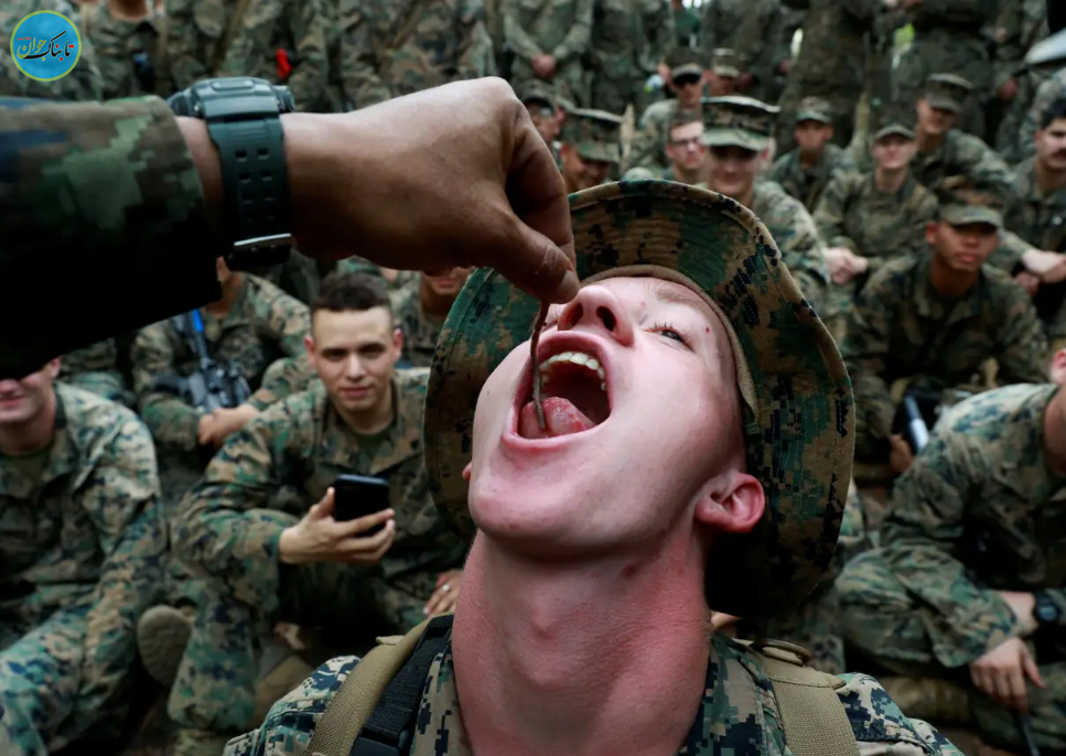 شیوه‌های تهوع‌آور آموزش سربازان آمریکایی: از نوشیدن خون مار کبرا تا خوردن عقرب و کرم خاکی! + تصاویر