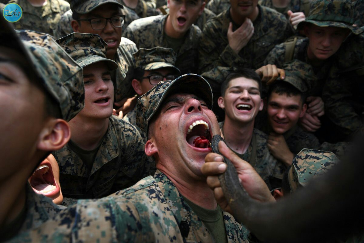 شیوه‌های تهوع‌آور آموزش سربازان آمریکایی: از نوشیدن خون مار کبرا تا خوردن عقرب و کرم خاکی! + تصاویر