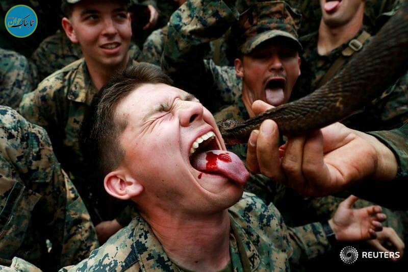 شیوه‌های تهوع‌آور آموزش سربازان آمریکایی: از نوشیدن خون مار کبرا تا خوردن عقرب و کرم خاکی! + تصاویر