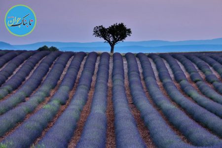۶ ترفند برای ثبت تصاویر زیبا از منظره‌ها
