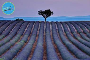 ۶ ترفند برای ثبت تصاویر زیبا از منظره‌ها