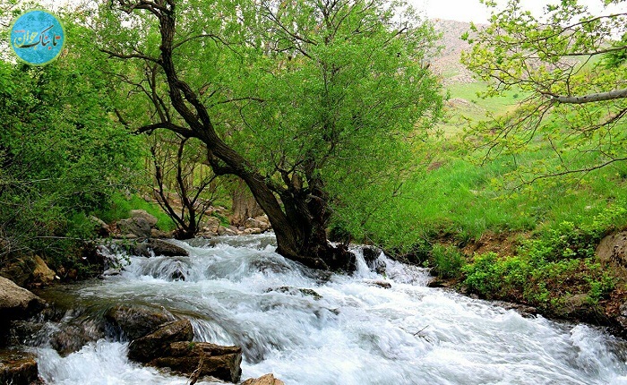 سیاحتی در دل بهشت گمشده غرب کشور