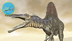 کشف فسیل 5 دایناسور کوچک در استرالیا