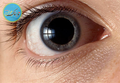 عضوی از بدن که تمام رازهای شما را بدون حرف‌زدن لو می‌دهد!