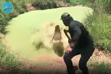 لحظه حمله کروکودیل غول پیکر به مرد ماجراجو!