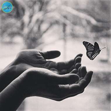 عشق یعنی به تو رسیدن