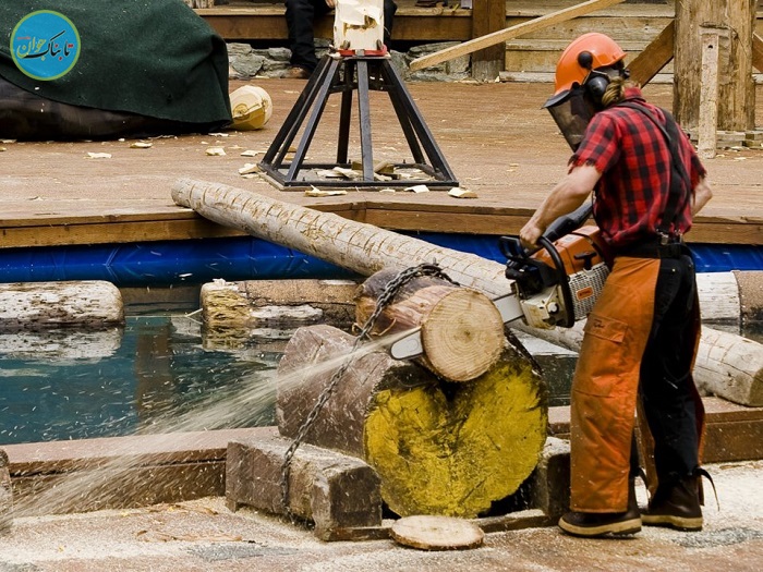 شغل‌هایی که تا بیست سال دیگر منقرض می‌شوند!