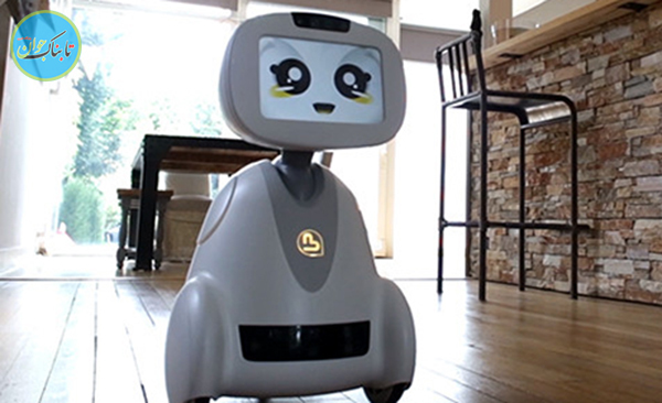 روبات های شخصی عضو جدید خانواده ها