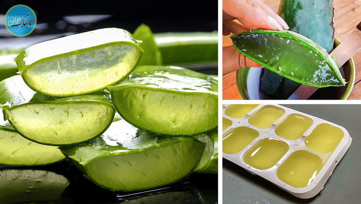 راز زیبایی فرمانروا ی مصر کشف شد