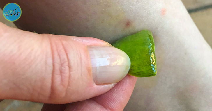 راز زیبایی فرمانروا ی مصر کشف شد