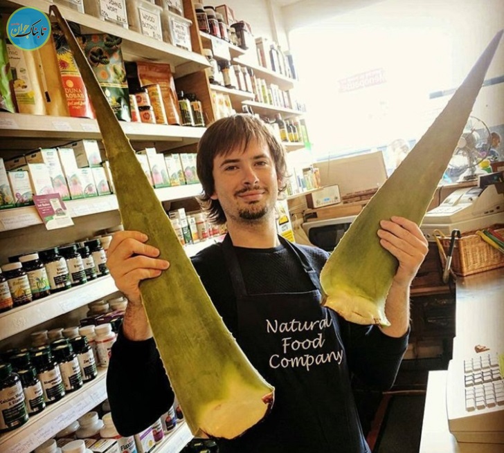 راز زیبایی فرمانروا ی مصر کشف شد