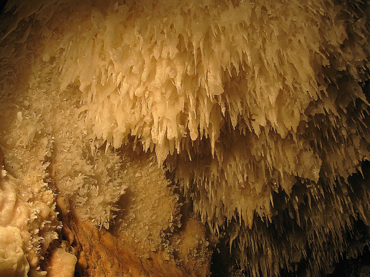 غارنوردی در خنکای سایه ای بی بدیل