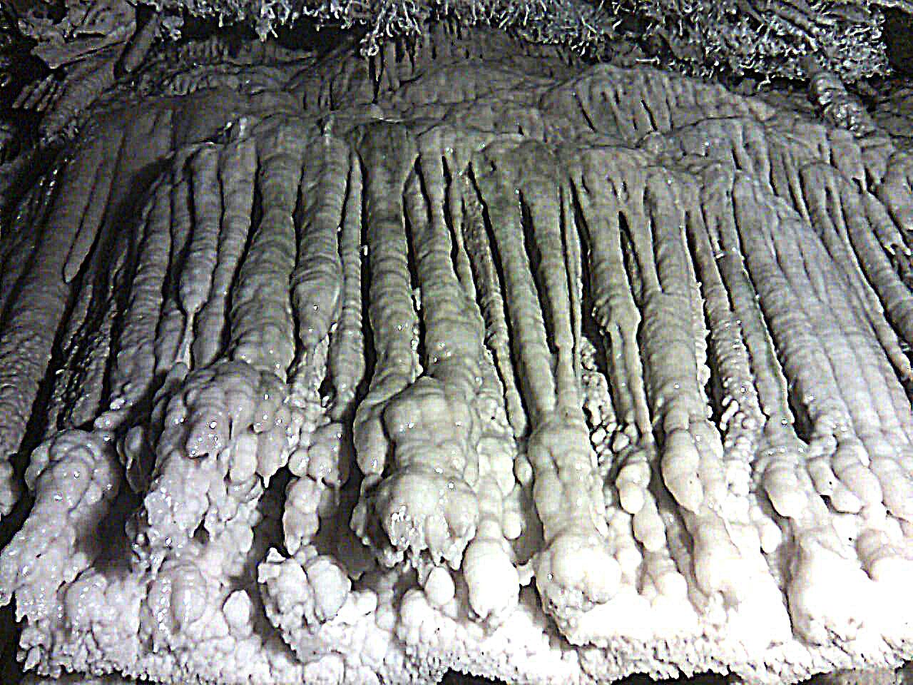 غارنوردی در خنکای سایه ای بی بدیل