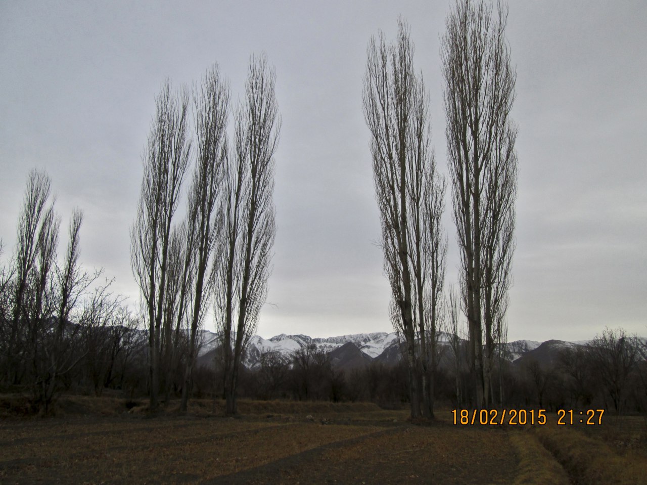 شکوه تعزیه در قودجان خوانسار