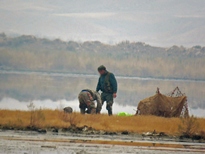 پرنده نگری در تالاب قنبرآباد در سایه شلیک امن شکارچیان پرنده نگری در تالاب قنبرآباد در سایه شلیک امن شکارچیان