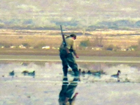 پرنده نگری در تالاب قنبرآباد در سایه شلیک امن شکارچیان پرنده نگری در تالاب قنبرآباد در سایه شلیک امن شکارچیان